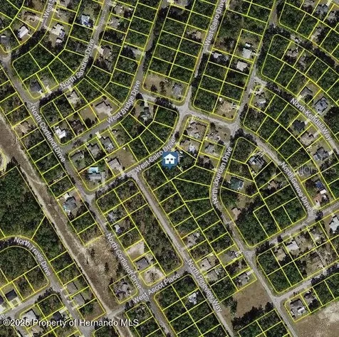 1176 W Cairo Drive Citrus Springs FL 34434