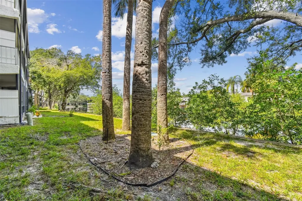 9115 Tudor Drive Tampa FL 33615