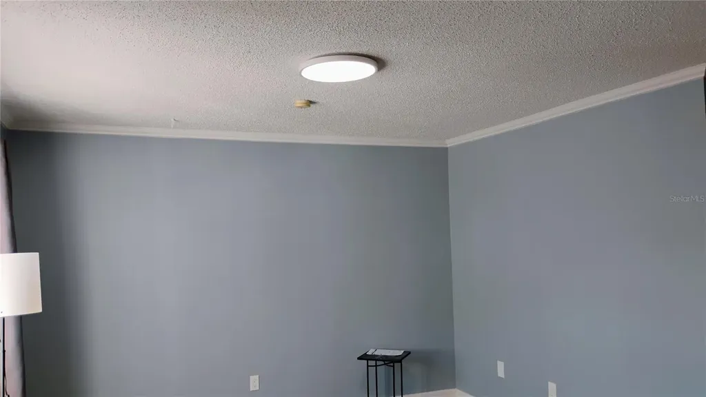 9115 Tudor Drive Tampa FL 33615