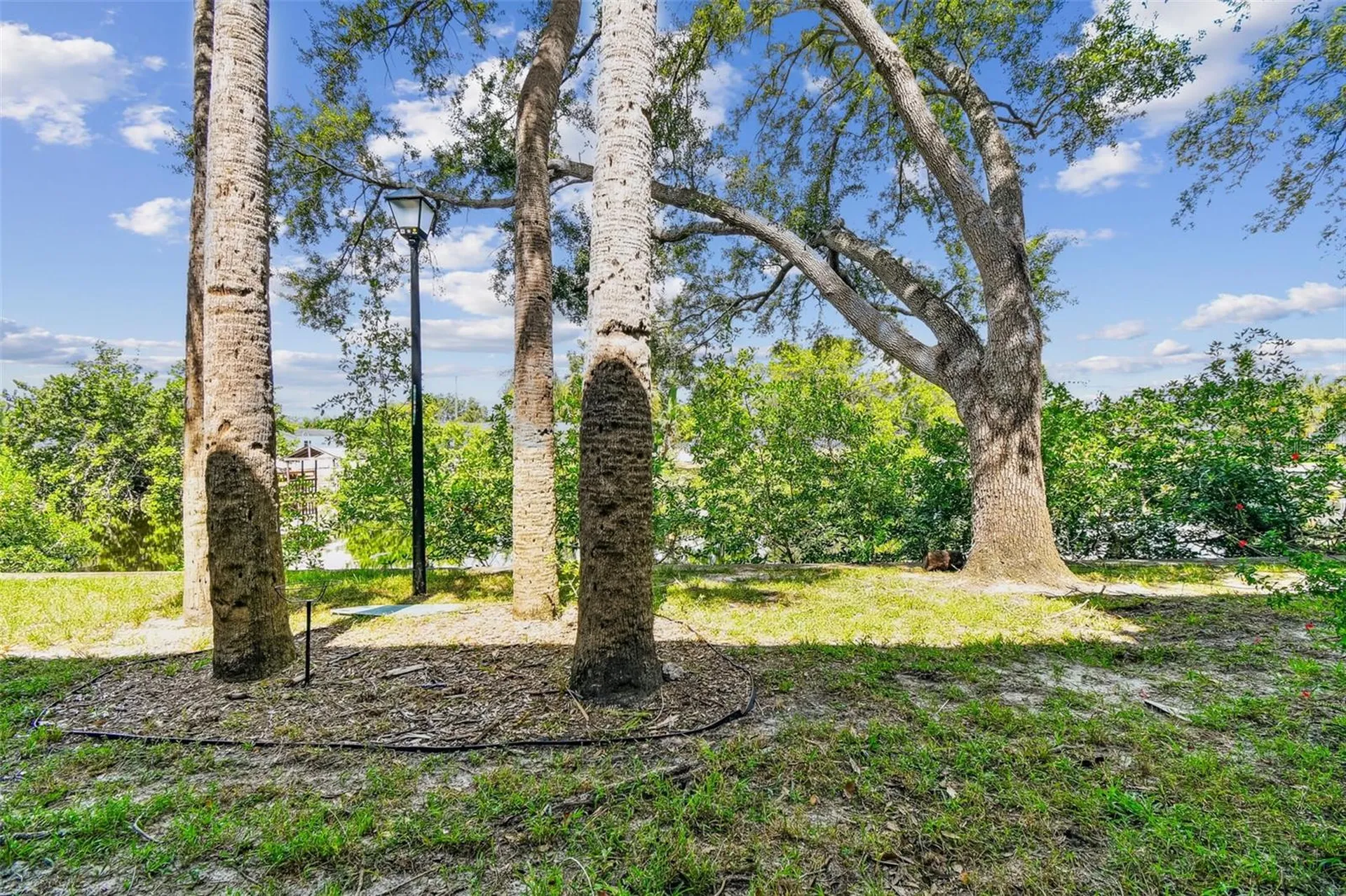 9115 Tudor Drive Tampa FL 33615