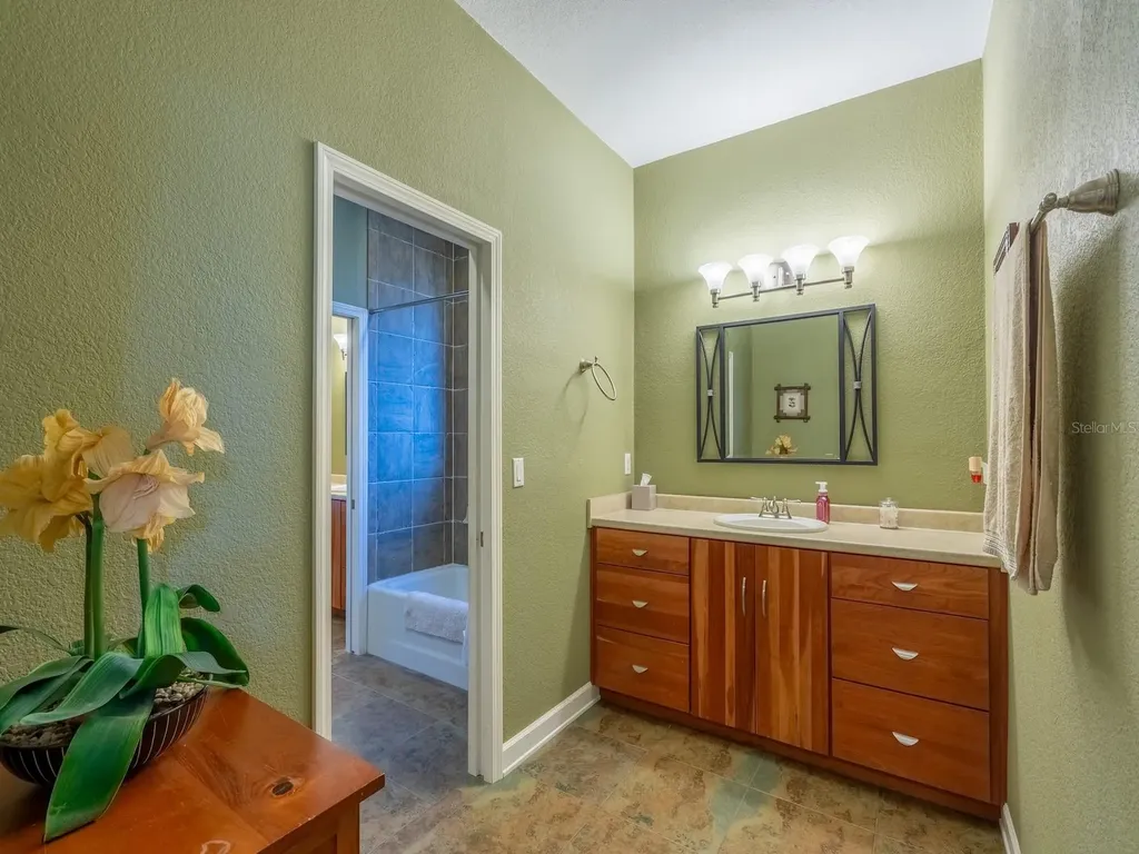 25212 E Highway 316 Salt Springs FL 32134