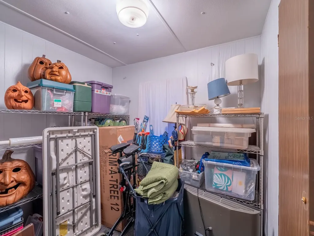 25212 E Highway 316 Salt Springs FL 32134