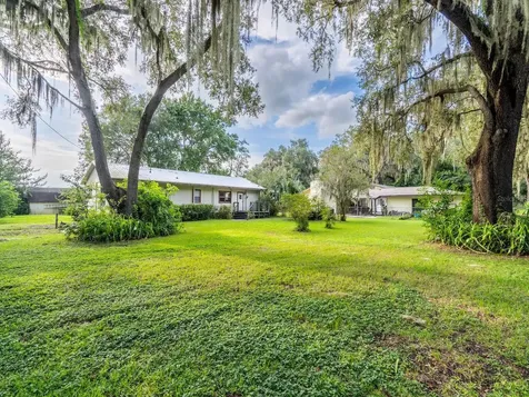 25212 E Highway 316 Salt Springs FL 32134