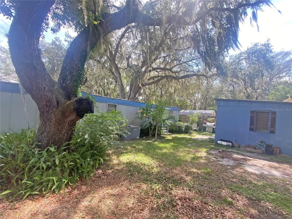 148 Swan Lake Drive Melrose FL 32666