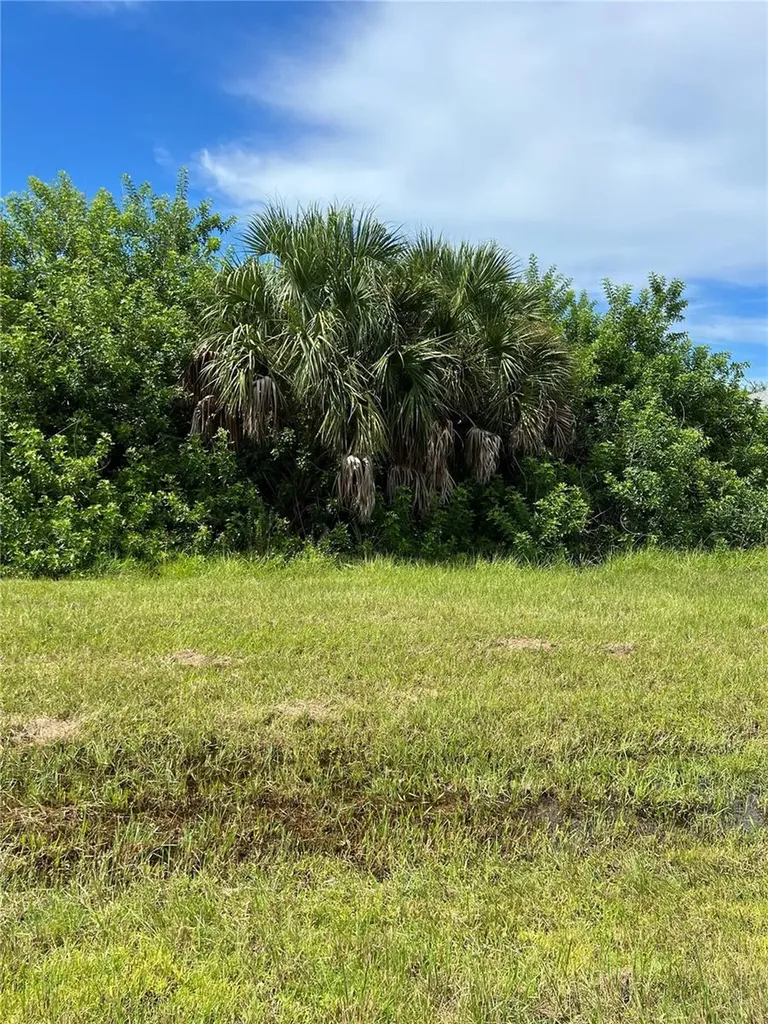 156 Cougar Way Rotonda West FL 33947