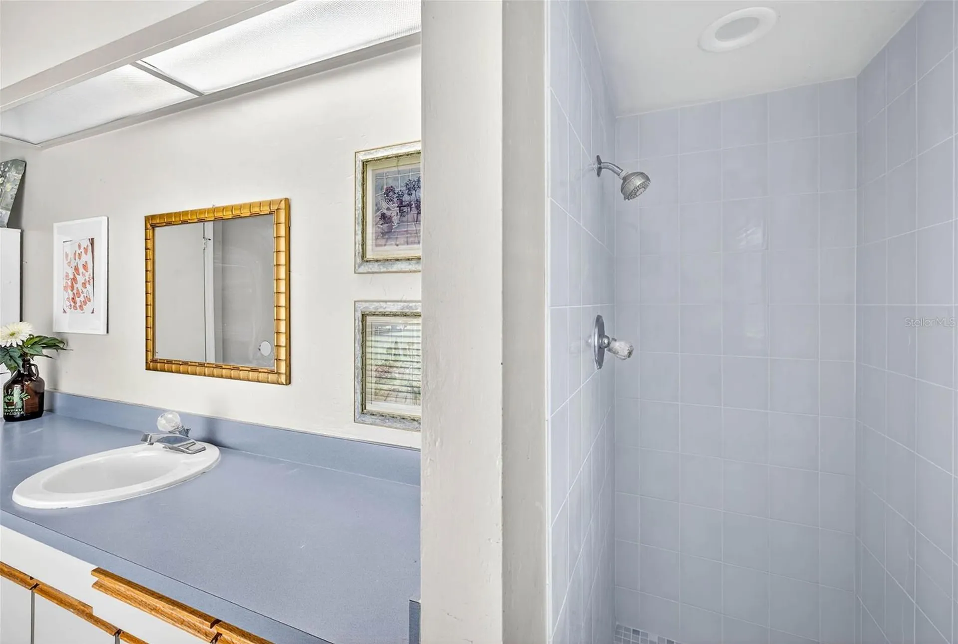 8410 W Knights Griffin Road Plant City FL 33565