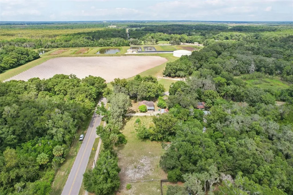 847 Palmetto Street Eustis FL 32726