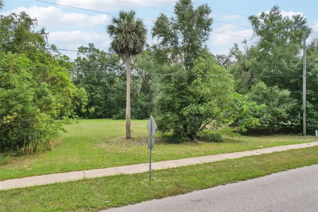 847 Palmetto Street Eustis FL 32726