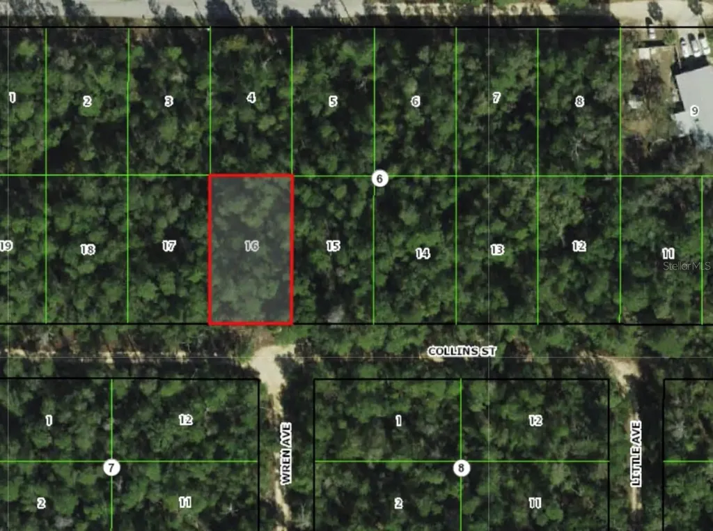 2912 Collins Street Inverness FL 34452