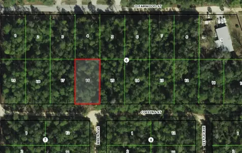 2912 Collins Street Inverness FL 34452