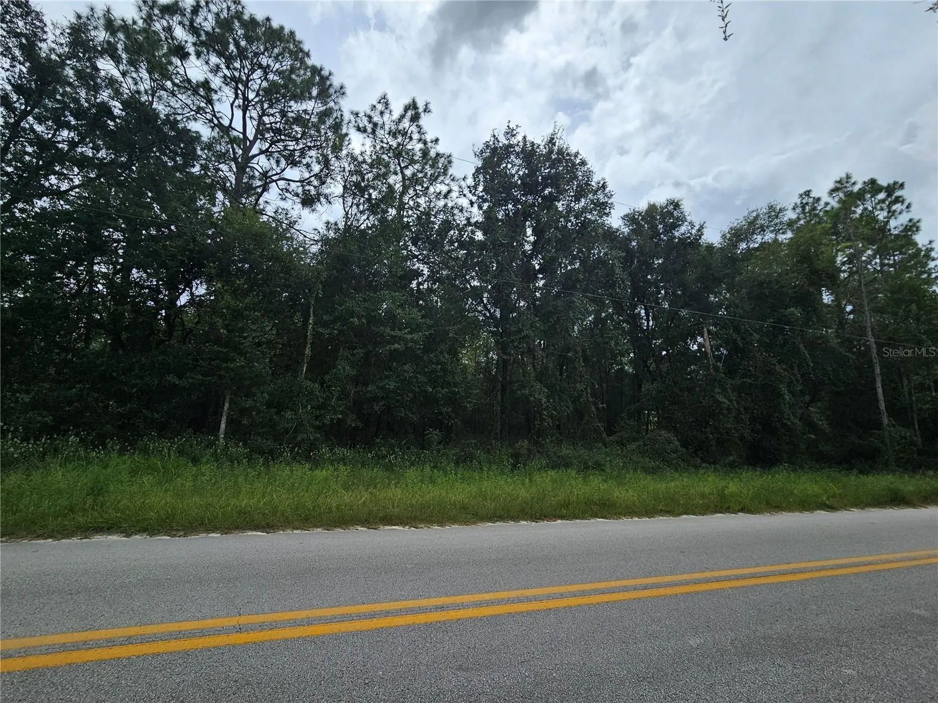 9830 NE 65th Lane Bronson FL 32621