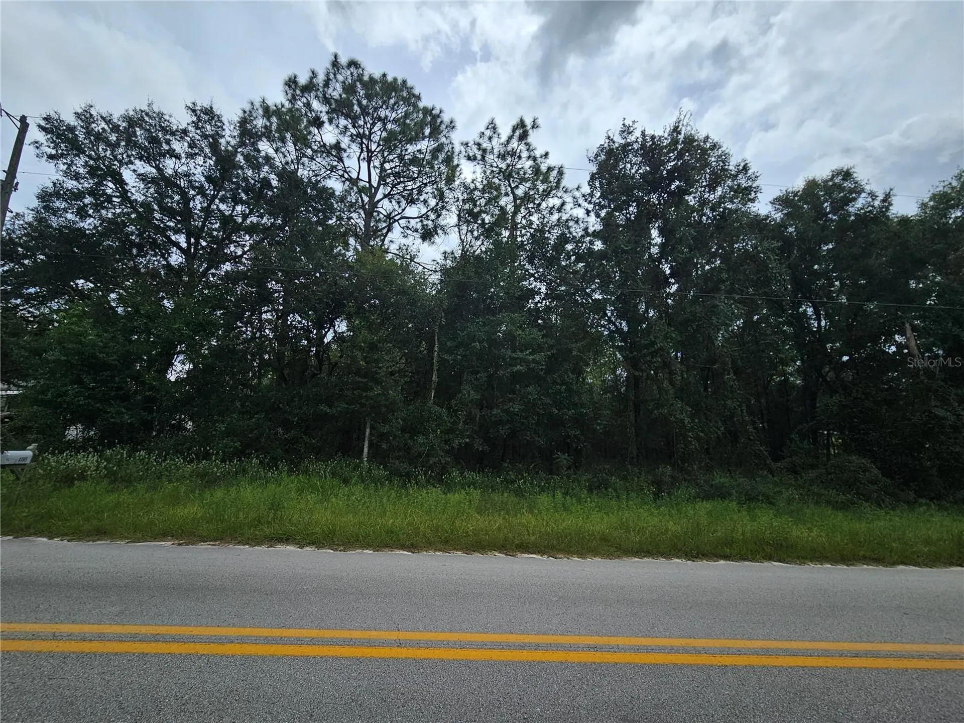 9830 NE 65th Lane Bronson FL 32621