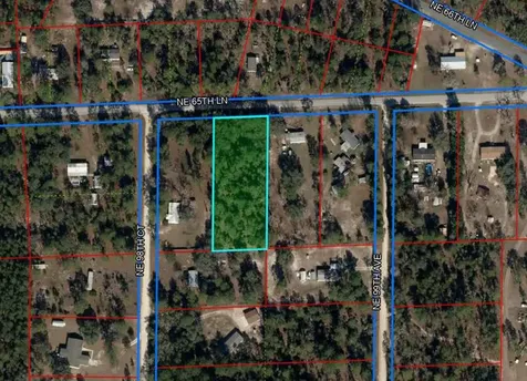 9830 NE 65th Lane Bronson FL 32621