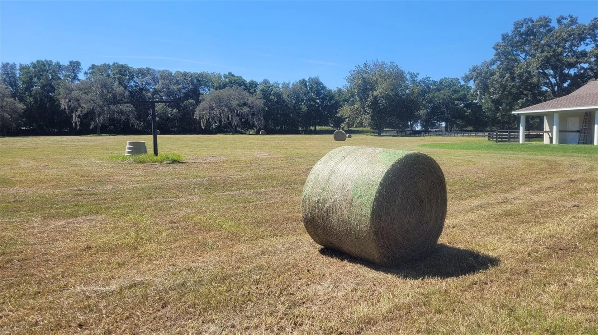 1198 SW 104th Street Road Ocala FL 34476