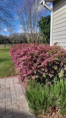 1198 SW 104th Street Road Ocala FL 34476