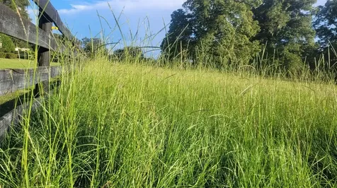 1198 SW 104th Street Road Ocala FL 34476