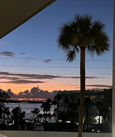 131 Bluff View Drive Belleair Bluffs FL 33770