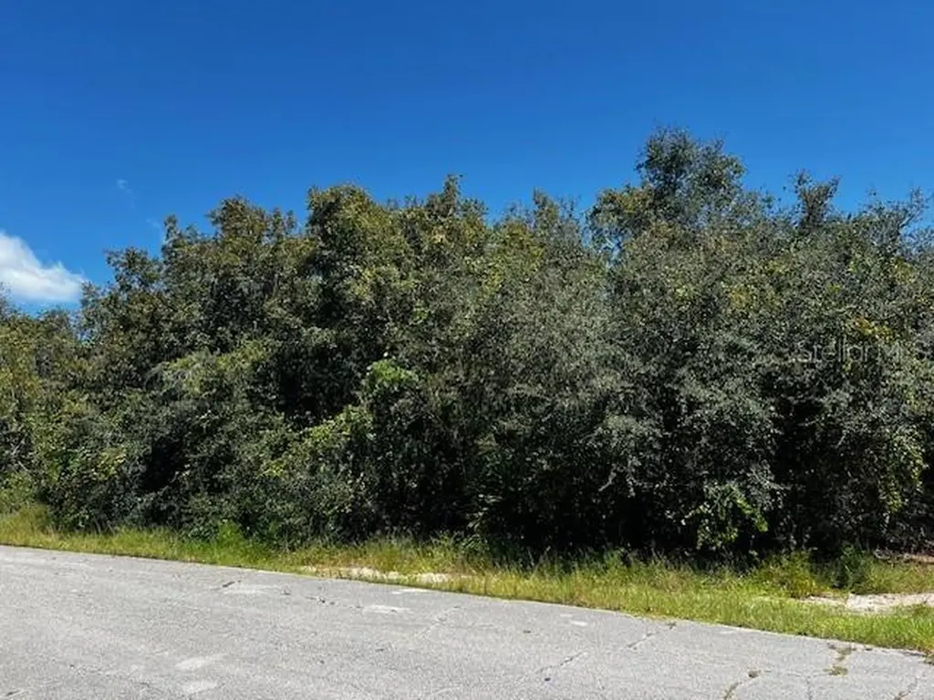 1229 Baltic Drive Poinciana FL 34759