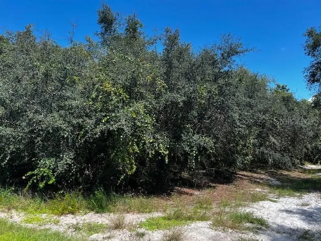 1229 Baltic Drive Poinciana FL 34759