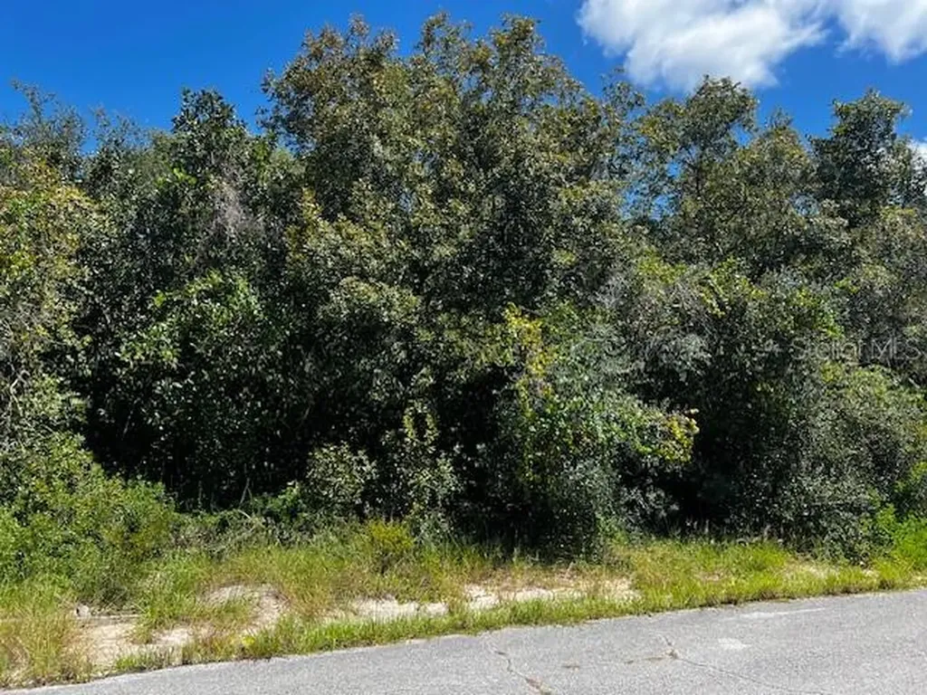 1229 Baltic Drive Poinciana FL 34759