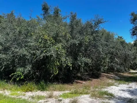 1229 Baltic Drive Poinciana FL 34759