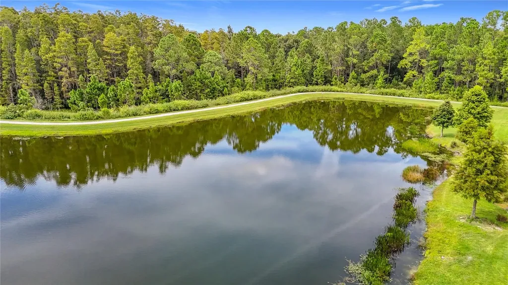 4868 San Martino Drive Wesley Chapel FL 33543