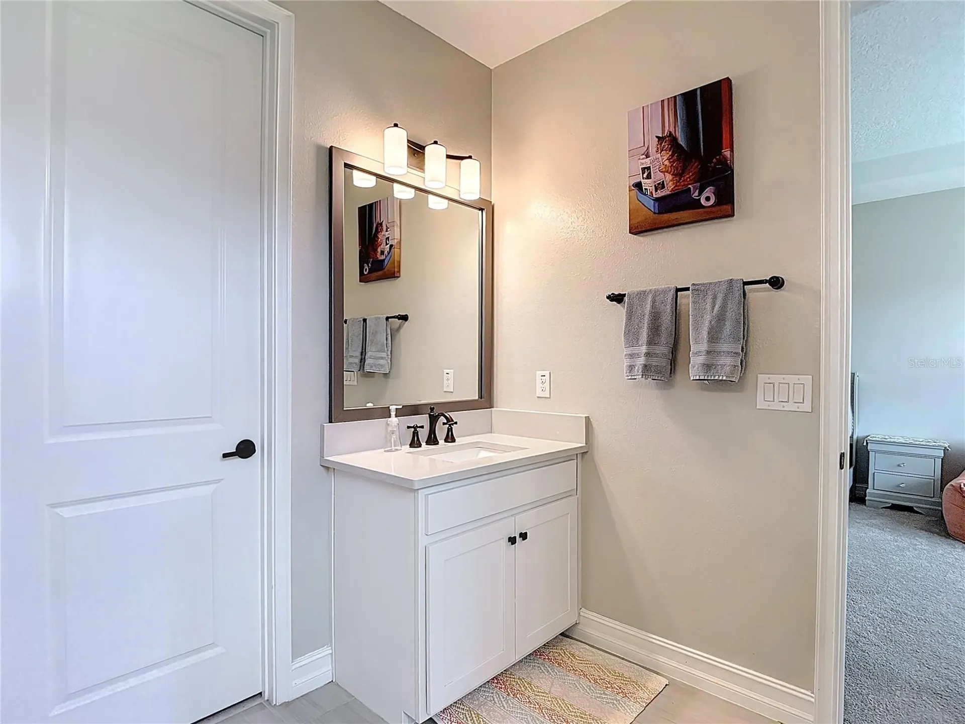 4868 San Martino Drive Wesley Chapel FL 33543