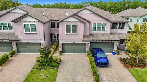 4868 San Martino Drive Wesley Chapel FL 33543