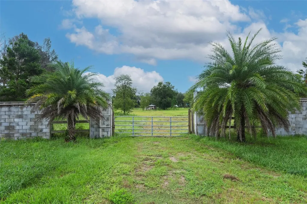 34534 Tree Frog Lane Eustis FL 32736