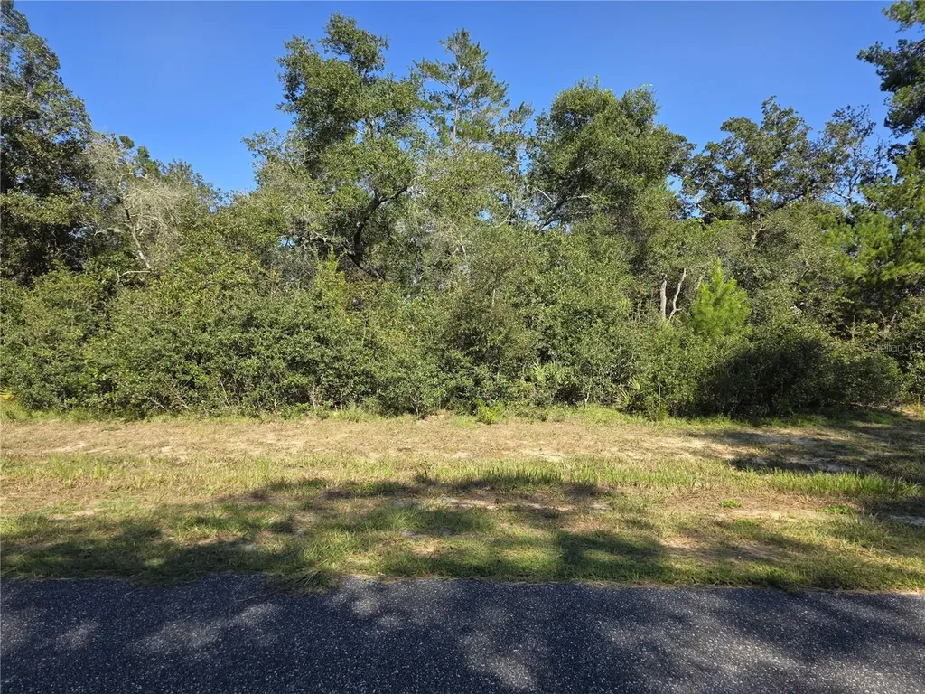 0 SW 21 Lane Ocala FL 34473