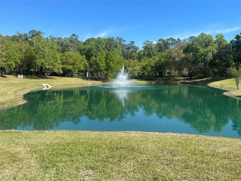 SE 31st Lane Ocala FL 34471
