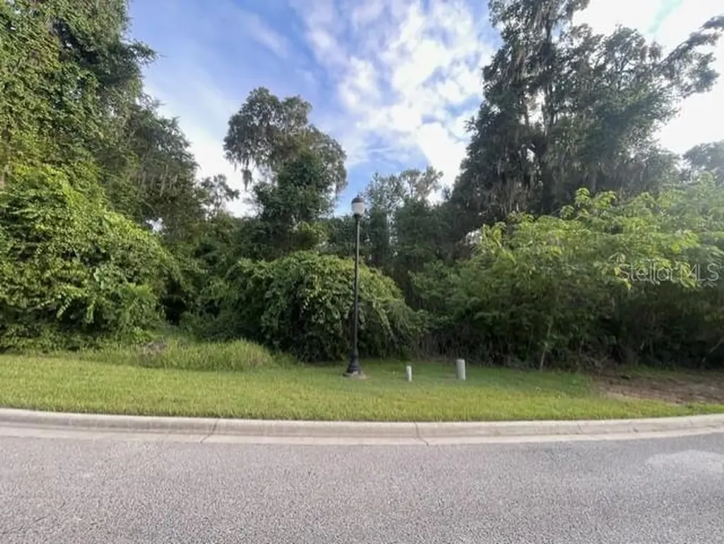 SE 31st Lane Ocala FL 34471