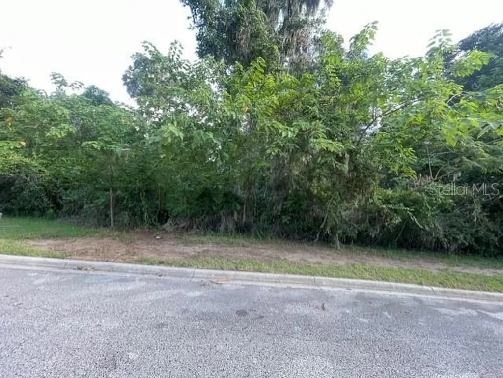 SE 31st Lane Ocala FL 34471