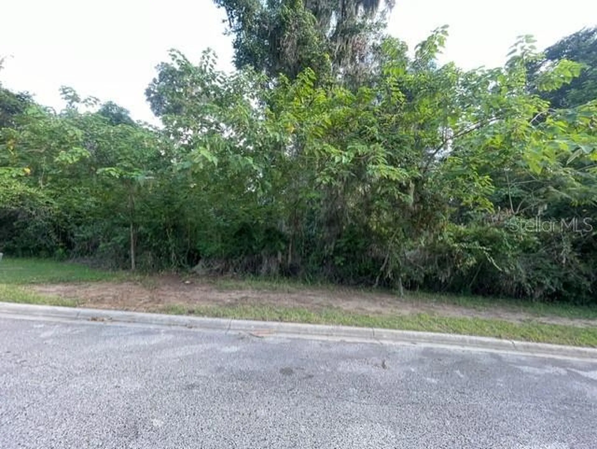 SE 31st Lane Ocala FL 34471