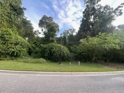 SE 31st Lane Ocala FL 34471