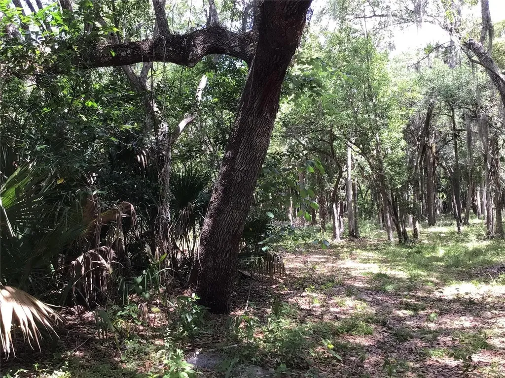 S Mellonville Avenue Sanford FL 32773