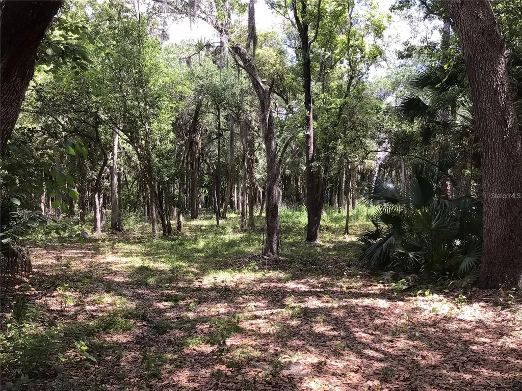 S Mellonville Avenue Sanford FL 32773