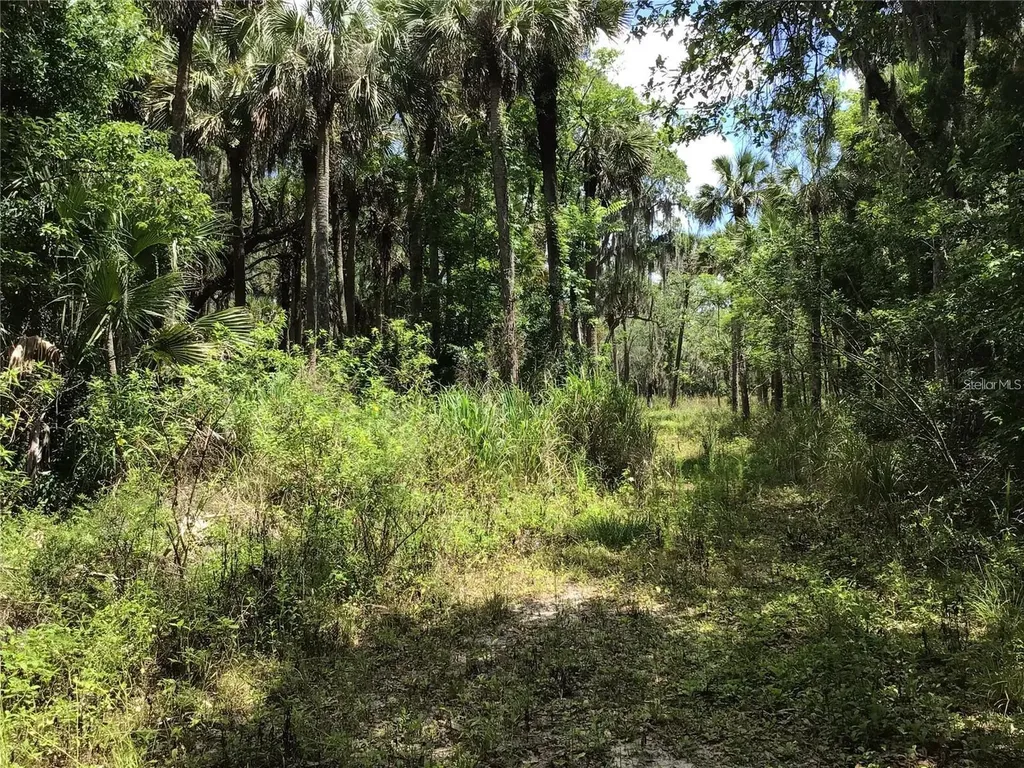 S Mellonville Avenue Sanford FL 32773