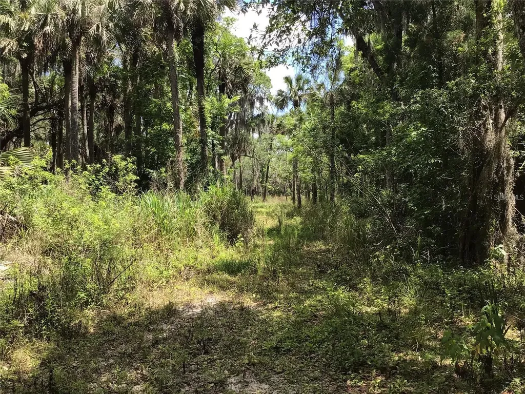 S Mellonville Avenue Sanford FL 32773