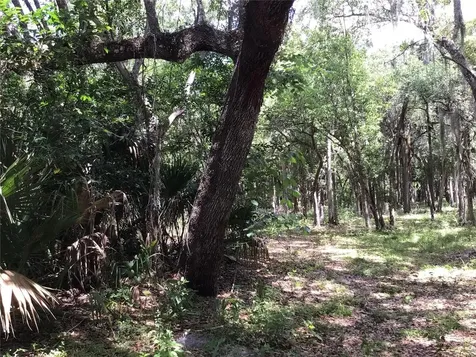 S Mellonville Avenue Sanford FL 32773