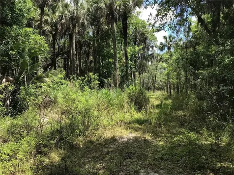 S Mellonville Avenue Sanford FL 32773
