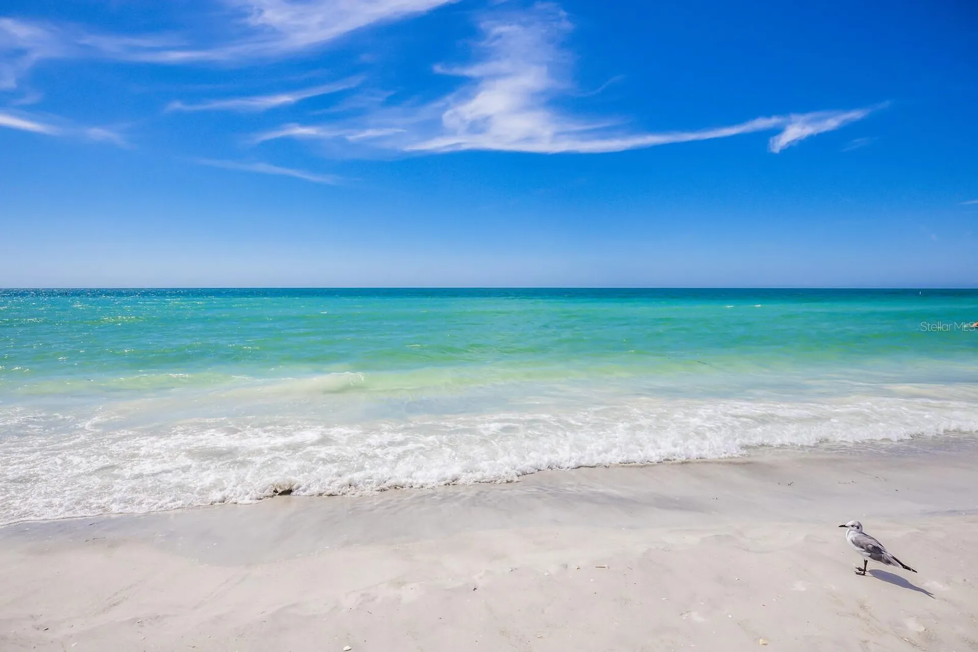 847 Evergreen Way Longboat Key FL 34228
