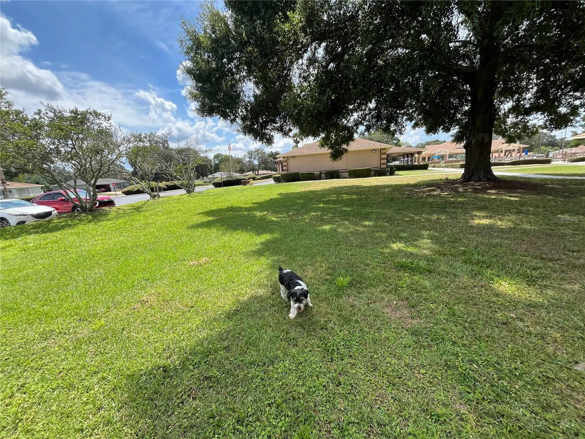 10583 SW 62nd Terrace Road Ocala FL 34476