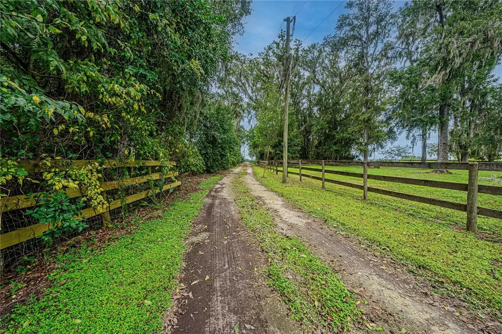 12615 NW Gainesville Road Reddick FL 32686