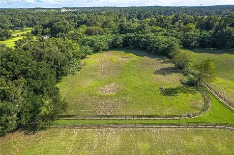 12615 NW Gainesville Road Reddick FL 32686