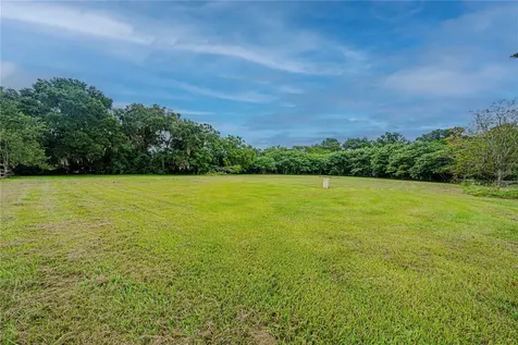 12615 NW Gainesville Road Reddick FL 32686