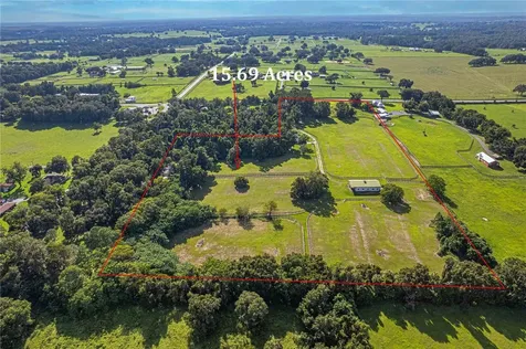 12615 NW Gainesville Road Reddick FL 32686