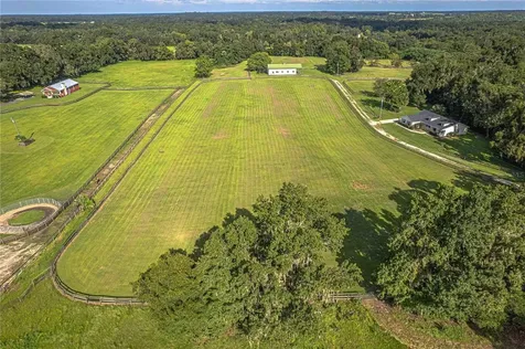 12615 NW Gainesville Road Reddick FL 32686