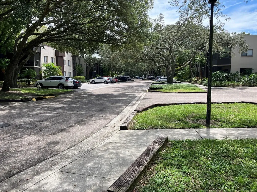 11703 Raintree Village Boulevard Temple Terrace FL 33617