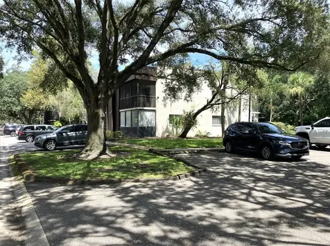 11703 Raintree Village Boulevard Temple Terrace FL 33617